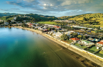 Petone aerial view