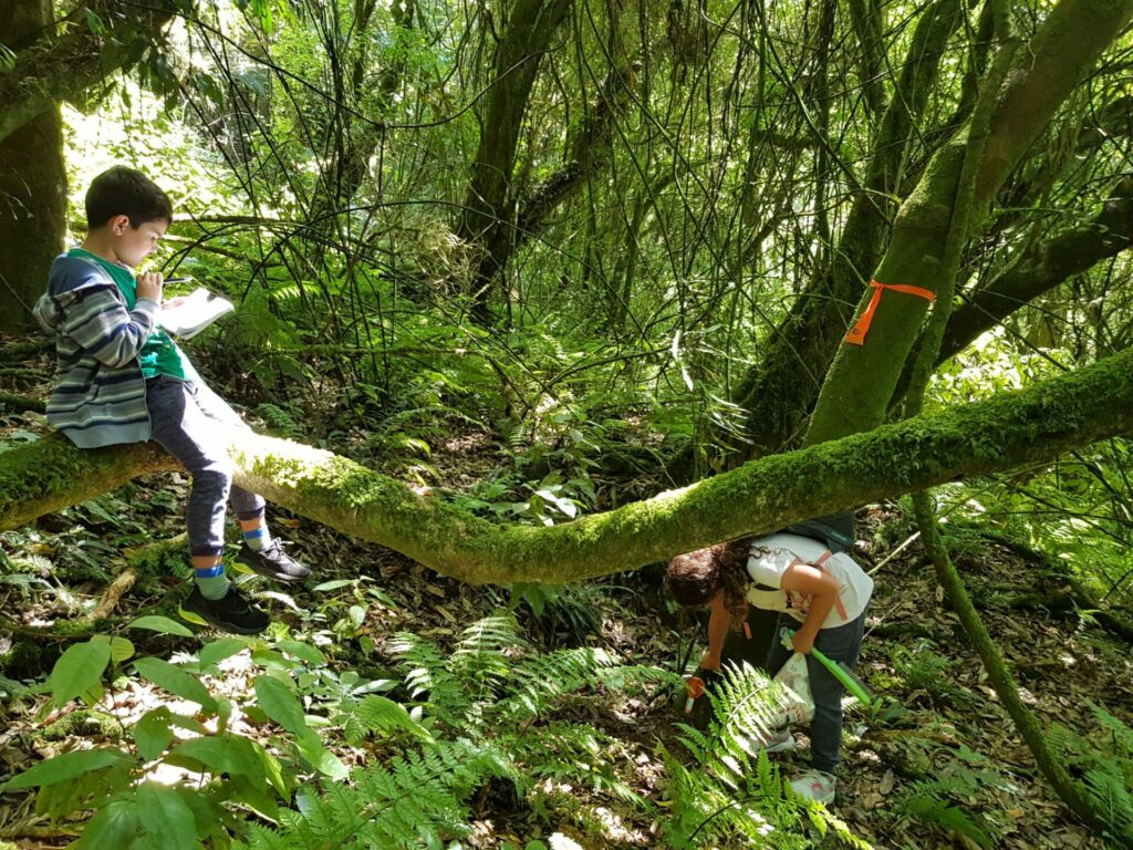 Haumanu Hauora | Health responses for Māori Deep South Challenge Haumanu Hauora | Health responses for Māori Deep South Challenge