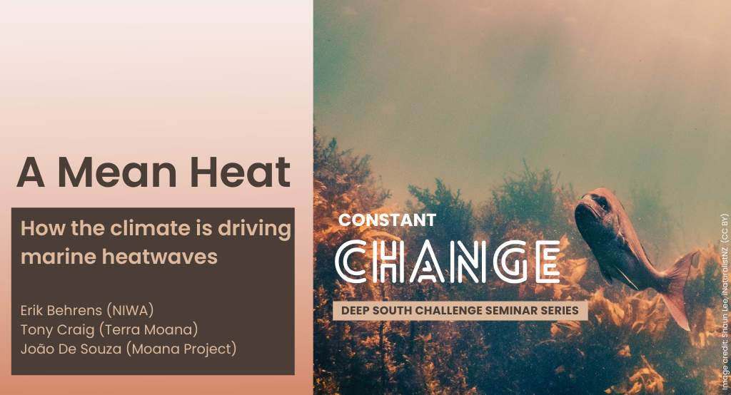 A Mean Heat - how the climate is driving marine heatwaves, a constant change seminar by the Deep South Challenge