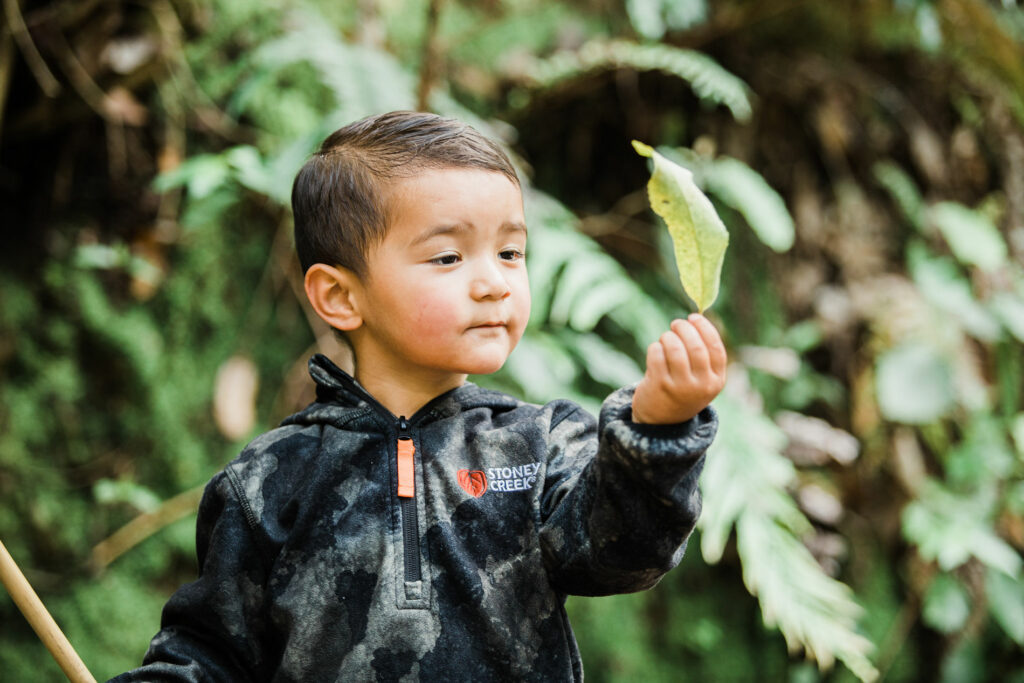 Kai ora: Restoring local Māori food systems by restoring power to marae Deep South Challenge