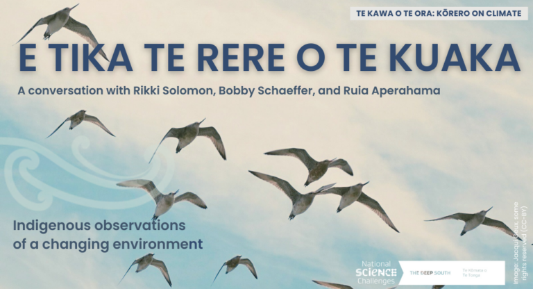 Webinar: E tika te rere o te kuaka | Deep South Challenge